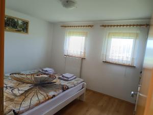 博德森特克Hiška na gorci的一间卧室设有一张床和两个窗户。