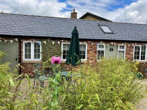 PewseyCentre village 2 bedroom cottage - The Byre的砖砌小屋,配有粉红色的花和雨伞