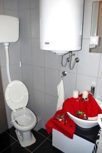 索科矿泉村Apartmani Ema的浴室配有白色卫生间和盥洗盆。