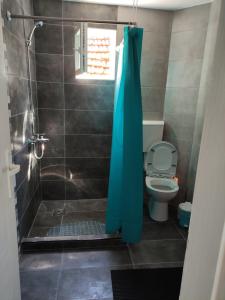 索科矿泉村Apartmani Ema的一间带蓝色淋浴帘的淋浴的浴室