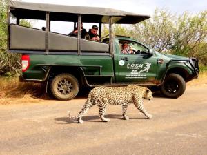 玛洛斯帕克Foxy Crocodile Bush Retreat & Kruger Safari's的吉普车前穿过马路的豹子