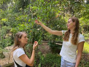 埃拉Ella nine arch spice garden的两个女人站在树旁采摘水果