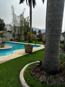 加尔潘VILLAS EL ENCANTO的游泳池旁的棕榈树