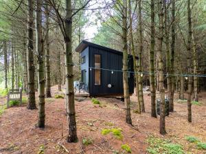 ChatsworthLittle Cabin in the Pines的坐在树林里的一间黑色小房子
