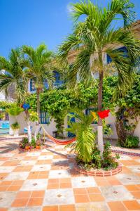 巴兰基亚卡萨加勒比殖民公寓的棕榈树和吊床的度假村