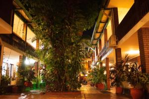 约帕尔Hotel Camoruco的庭院里植物繁多的建筑物