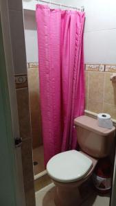 通哈Hotel Colonial El Bosque的一间带粉红色淋浴帘和卫生间的浴室