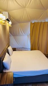 wadi rum fox road camp & jeep tour客房内的一张或多张床位