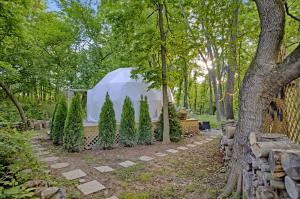 利斯堡Dream Dome Getaway near Leesburg的森林中的帐篷,前面有树木
