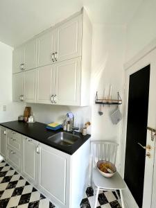 Cozy appartment for 2 in Aarhus的厨房或小厨房