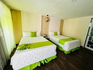 阿瓜斯卡连特斯Hotel Medrano Temáticas and Business Rooms Aguascalientes的绿白色客房内的两张床