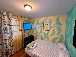 纽约Lemon private room with shared bathroom的卧室配有一张床,墙上配有电视。