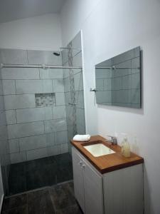 菲兰迪亚Travesía Quindiana的浴室配有盥洗盆和带镜子的淋浴