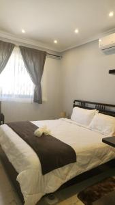卢萨卡Villa Serene Lusaka的卧室配有一张大白色床和窗户