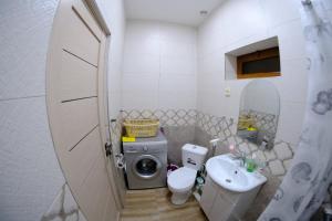 MeghriGam guest house 1的一间带洗衣机和水槽的浴室