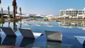 亚喀巴Cloud 7 Residences Ayla Aqaba的度假村内带椅子的游泳池