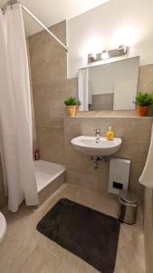 杜塞尔多夫Renoviertes Apartment inkl TG Stellplatz in Düsseldorf的一间带水槽、镜子和淋浴的浴室