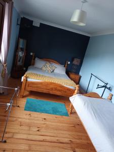 Graiguenamanaghgraiguenamanagh Homestay的一间卧室设有一张床和蓝色的墙壁