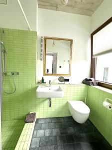 科隆科隆乡村公寓的绿色浴室设有水槽和卫生间