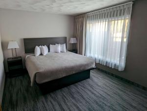WetmoreQuality Inn & Suites Munising的酒店客房设有床和窗户。
