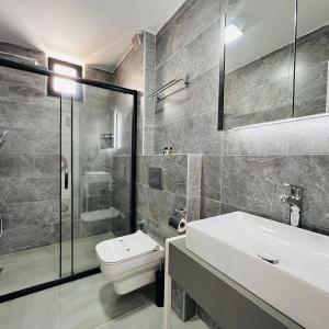 凯麦尔Euronova Hotels & Suites的浴室配有卫生间、盥洗盆和淋浴。