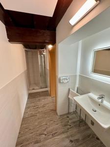 巴德哥依斯恩梅兹海利旅馆的一间带水槽和镜子的浴室