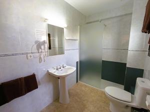 圣安东尼奥霍利松特旅馆的浴室配有卫生间、盥洗盆和淋浴。