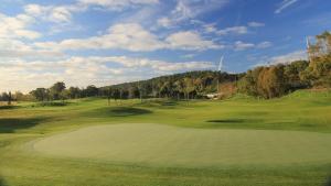 琳达阿韦立亚Epic Design: Unforgettable Stay的享有高尔夫球场和绿色美景