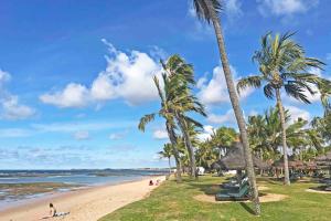 普拉亚多Descubra aqui o Paraíso em Praia do Forte - Apartamento TOP的一片棕榈树海滩,那里有人