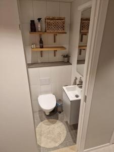 斯德哥尔摩Modern room with bathroom, no kitchen and your own entrance的一间带卫生间和水槽的小浴室