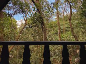 欧鲁普雷图Chalé Floresta Amada的从窗口可欣赏到森林景色