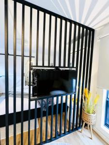 梅尔顿Stylish tiny home in Melton west的客厅里设有黑色的围栏,配有电视