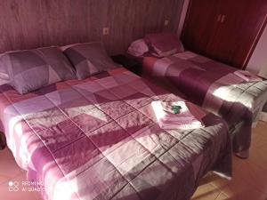 菲格拉斯Hostal Galicia的卧室内的两张床和紫色棉被