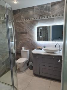 科克Blackrock Carole Ville Guesthouse的浴室配有卫生间、盥洗盆和淋浴。