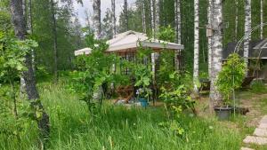 埃斯波Troll House Eco-Cottage, Nuuksio for Nature lovers, Petfriendly的树林里带雨伞的树屋