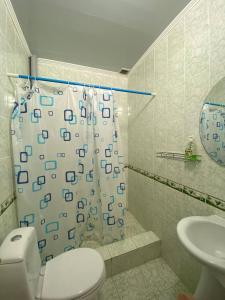 乔尔蓬阿塔Гостевой дом ТОЛНУР的一间带卫生间和淋浴帘的浴室