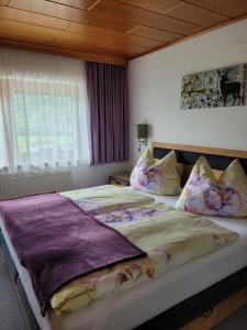 迈尔霍芬Ferienwohnung Zuppinger的一间卧室设有两张床和窗户。