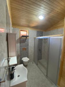 契拉勒普拉节酒店的带淋浴、盥洗盆和卫生间的浴室