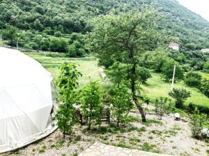 ZEN Relaxing Village的绿地中的白色帐篷,有树