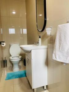 鲁德普特Ouklip Place Hotels的一间带卫生间、水槽和镜子的浴室