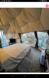 DecimomannuPodere Kiri Dome Experience的帐篷内的一张大床,设有窗户