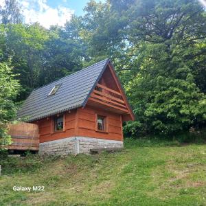 利波瓦Domek Bacówka Pod Lipą的一座小木小屋,位于山丘上,种有树木