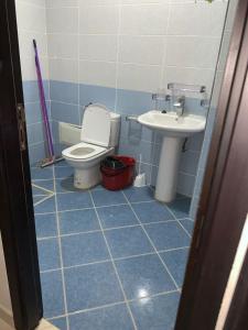 胡塞马Apartments Palace Rif Al Hoceima的一间带卫生间和水槽的浴室