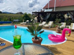 密古雷休治Casa Genesini的游泳池,游泳池内有粉红色的天鹅和饮料