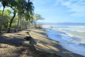 MalenaLa Parada del Pelicano, El Ranchito Surf的棕榈树和海洋的沙滩