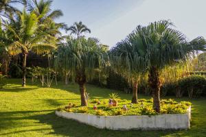 布希奥斯Casa Barco Ferradura的公园里种有棕榈树和鲜花的花园