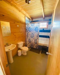 蓬塔乔罗斯Punta de Choros Lodge的一间带卫生间和水槽的浴室