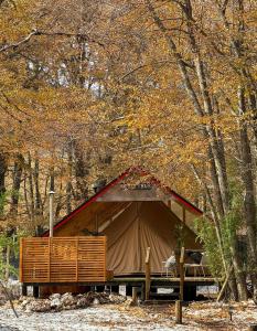 马拉卡韦罗Casa del Árbol - Glamping的森林中间的大帐篷