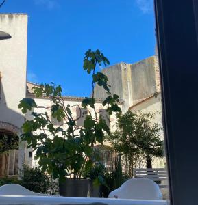 Penne-dʼAgenais苏拉宫住宿加早餐旅馆的建筑物前有植物的窗户