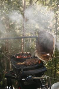 OpuaTreetop Tranquility at Rekindle Tree houses的烤架上放有肉和一盘食物